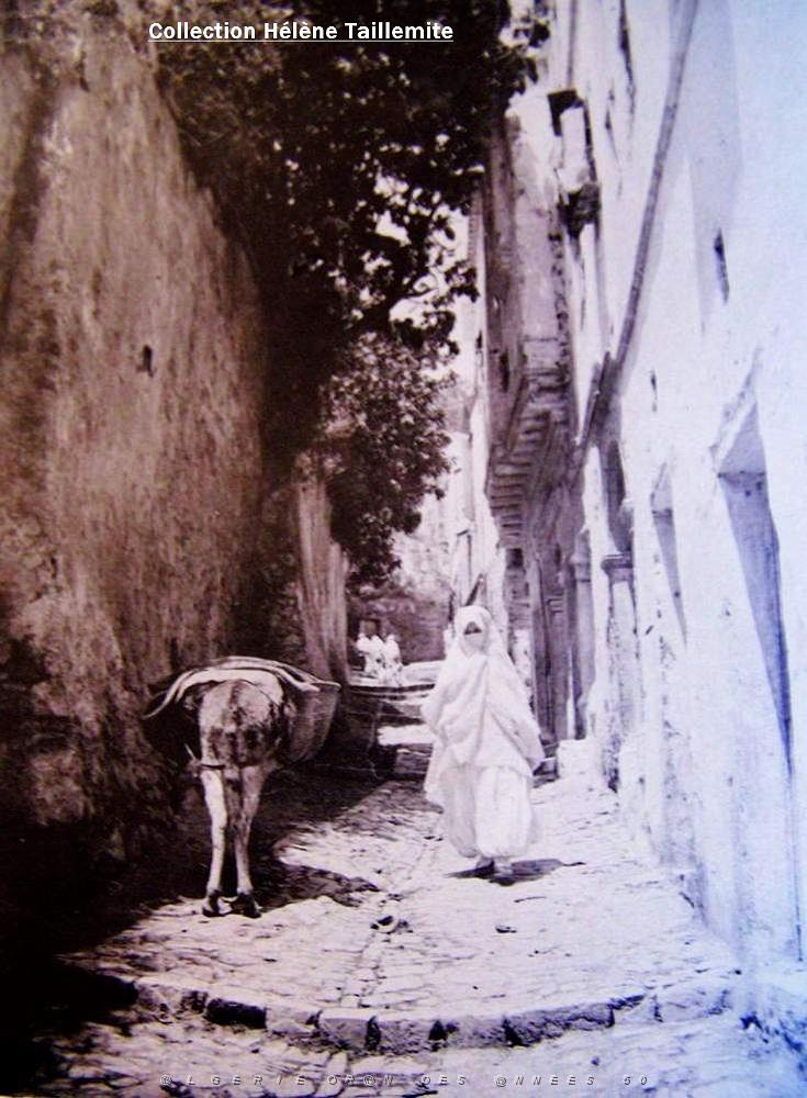 Images d'Algerie 039.jpg
